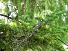 -国家植物园南园