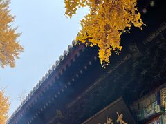 -红螺寺