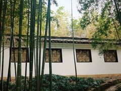 -求雨山文化公园
