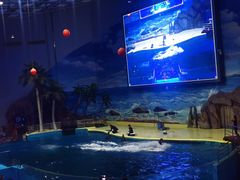 -福州罗源湾海洋世界旅游区