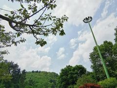 -阿哈湖国家湿地公园