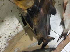 -笑红饭庄