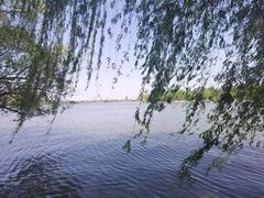 -济南大明湖景区