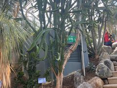 -南山植物园