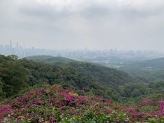 -广州市白云山风景名胜区
