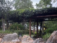 -大理地热国