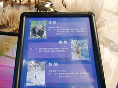 -凯德广场(武胜路店)