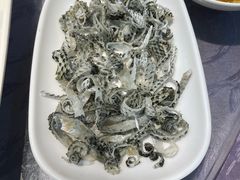 -联邦酒楼
