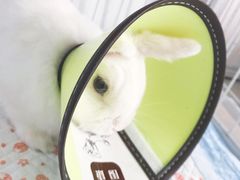 -美迦爱-牙专科·兔科·骨科诊疗中心(北苑店)