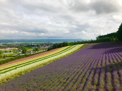 -富田农场