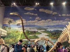 -自贡恐龙博物馆