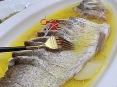 -鲁宴·鲁煨黄河生态大鲤鱼(月坛店)