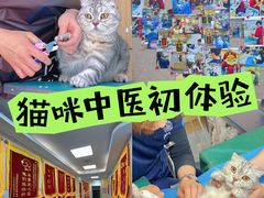 -美联众合爱康动物医院•复杂内科•肿瘤科•牙科•腔镜诊疗中心