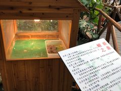 -上海大自然野生昆虫馆(东方明珠·爬宠昆虫探索中心)