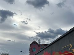 -苏家坨柳林村二月兰花海