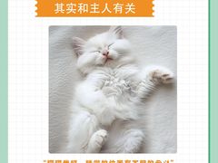 -申普宠物医院·眼科·心内科·影像科(普陀分院)