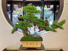 -绍兴鲁迅故里·沈园景区