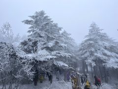 -峨眉山风景名胜区