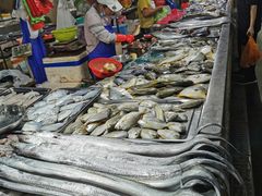 -鸿港海鲜批发市场