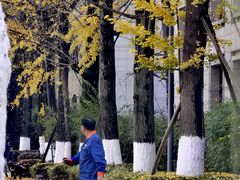 -百林公园-两江幸福广场