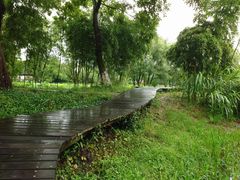 -西溪国家湿地公园