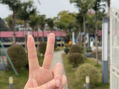 -麻小度青花椒鱼(安德总店)