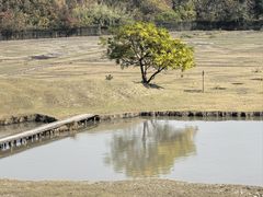 -溱湖国家湿地公园