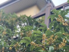 -民国红公馆·艺文空间(颐和路店)