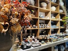 -自由生长植物工作室(深港花卉中心店)