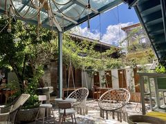 -喵屿·大理花园猫咖