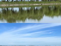 -卧龙湖