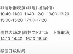 -西双版纳原始森林公园