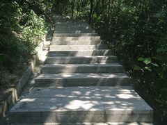 -火炉山森林公园