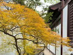 -常熟方塔园