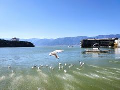 -南诏风情岛