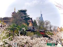 -海港城