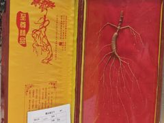 -广东中医药博物馆