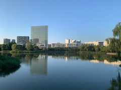 -大兴滨河森林公园