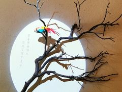 -帅巴人舅母子腊蹄民俗村