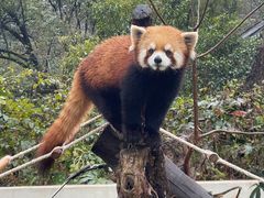 -杭州少年儿童公园