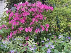 -苏州河梦清园环保主题公园