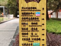 -中山公园