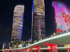 -演武大桥观景平台