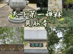 -灵谷景区