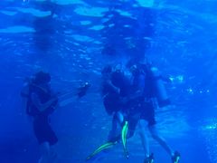 -烟台海昌鲸鲨海洋公园