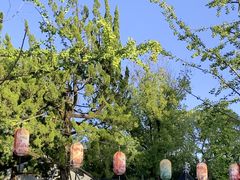 -苏州文庙(姑苏区)