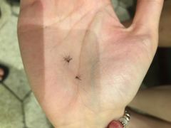 -江门恒大泉都