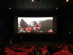 -AMG海上明珠影城(上海环球港RealDCinema店)