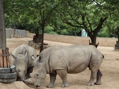 -西安秦岭野生动物园