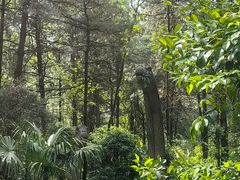 -贵州森林野生动物园